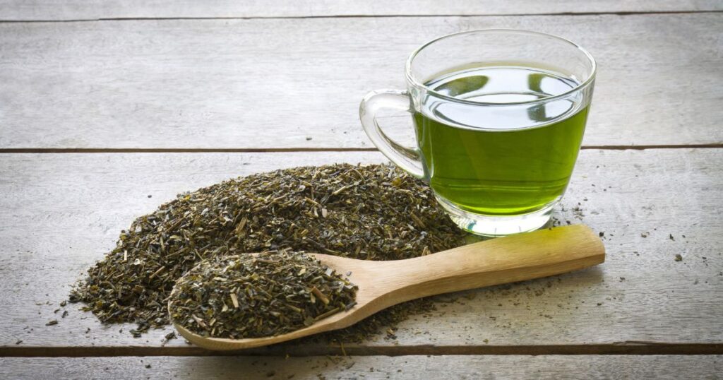 sencha tea